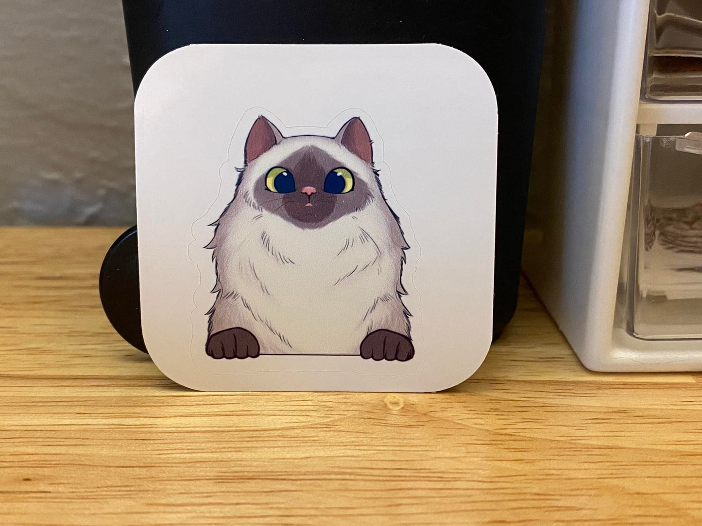 Himalayan cat STICKER