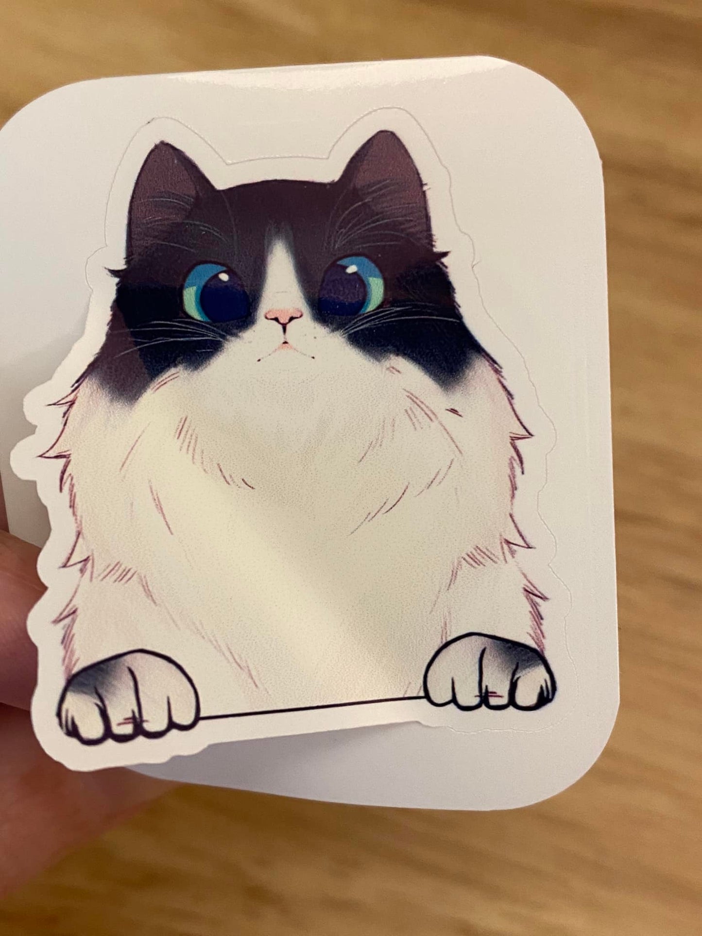 Fluffy White and Black Cat STICKER