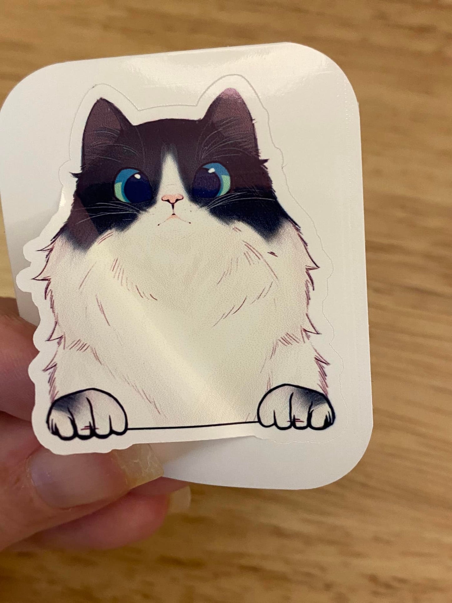 Fluffy White and Black Cat STICKER