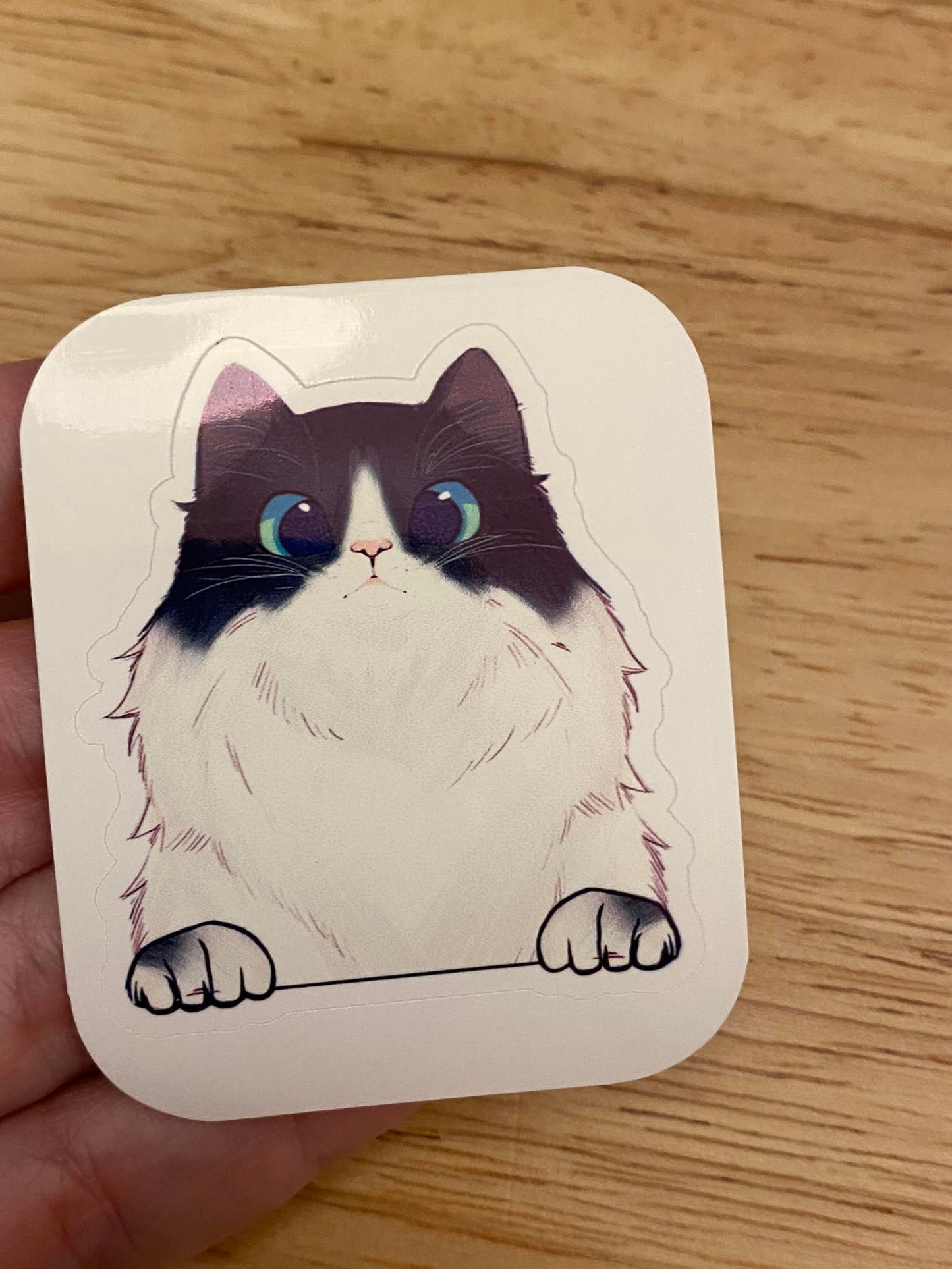 Fluffy White and Black Cat STICKER