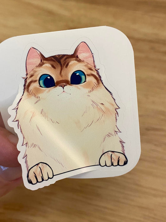 Fluffy White and Brown Cat STICKER