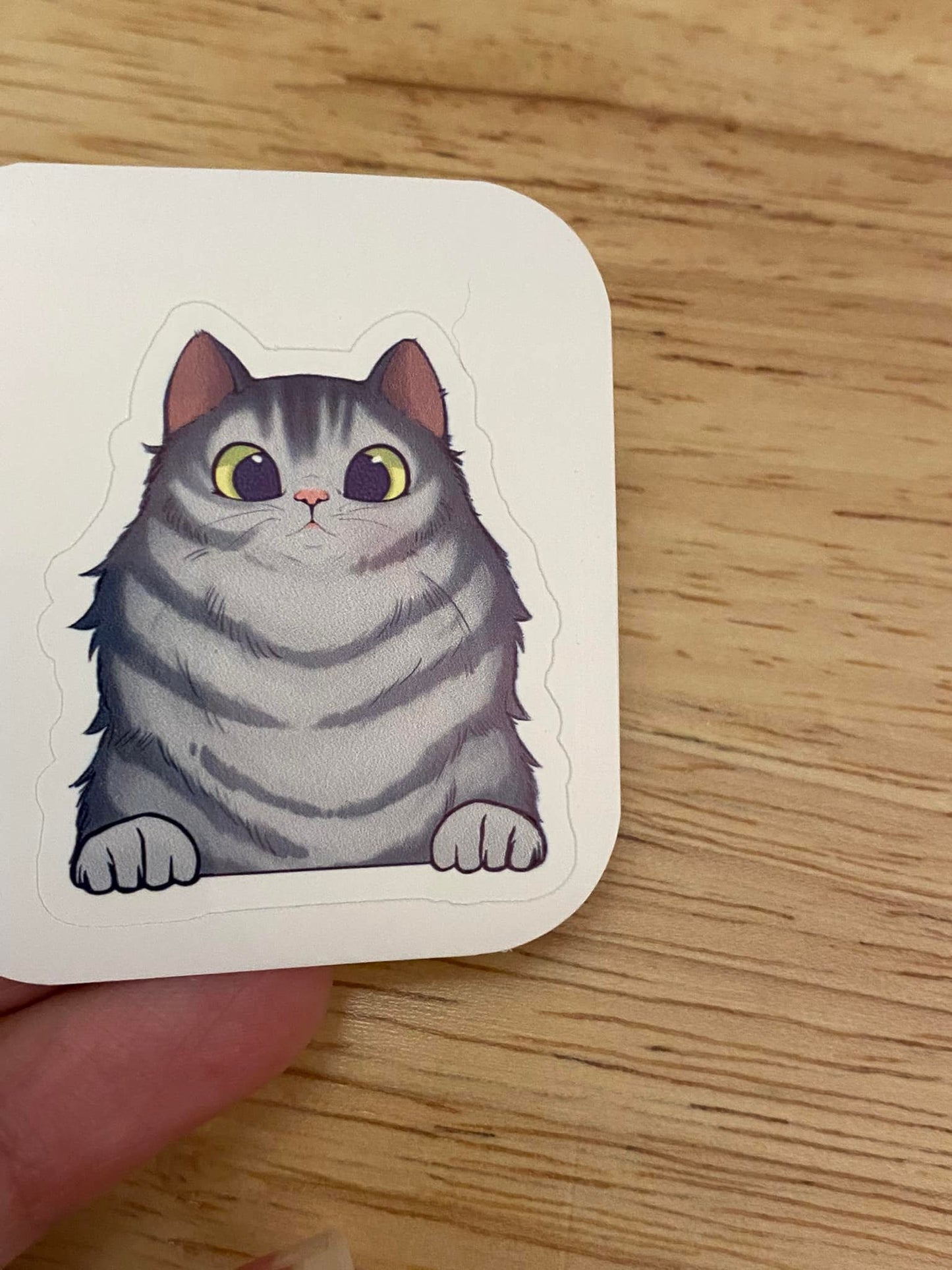 Fluffy Grey Tabby Cat STICKER