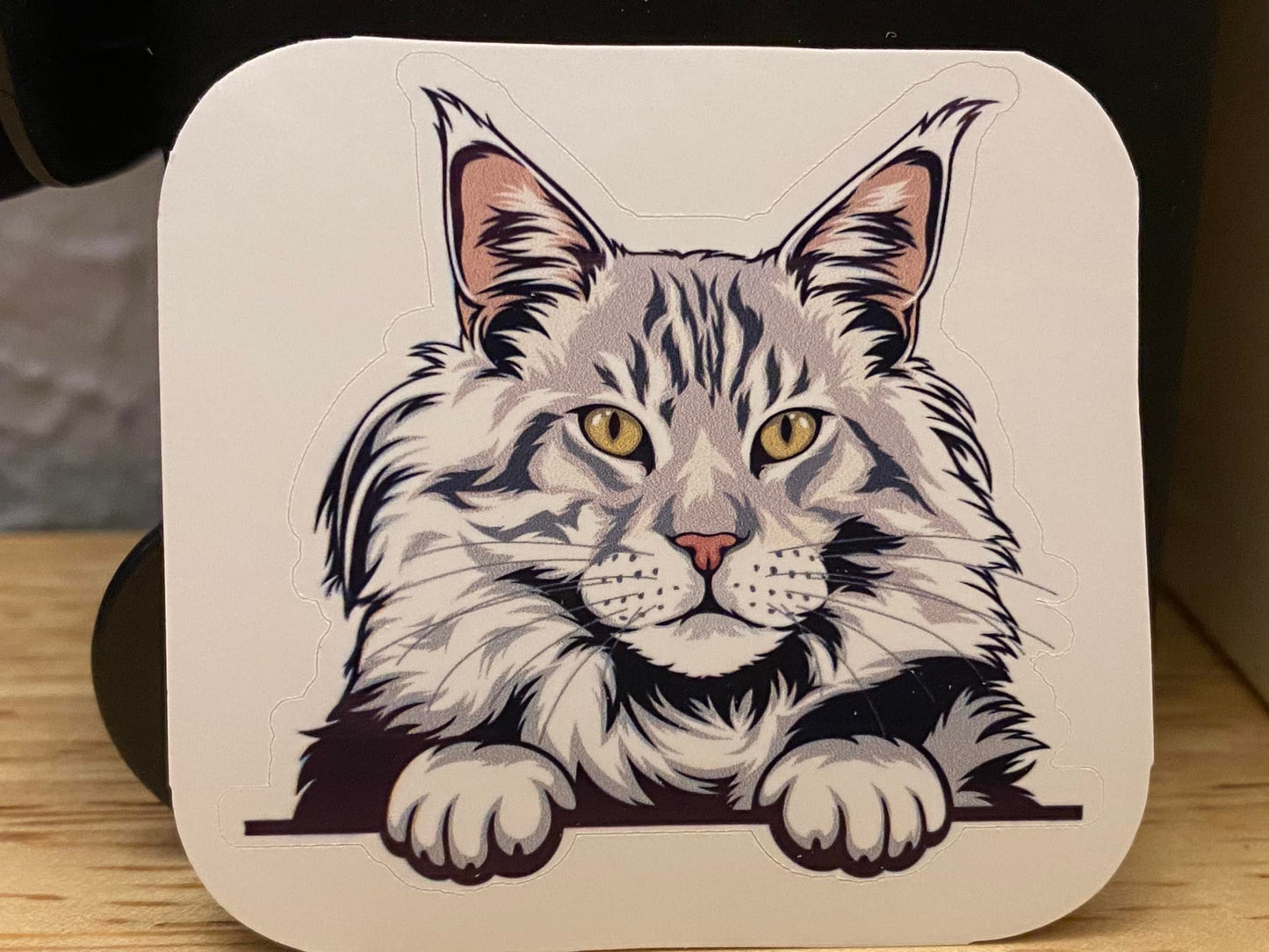 Silver Maine Coon Cat Car Decal