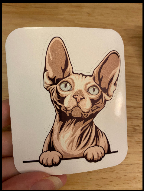 Sphynx cat sticker