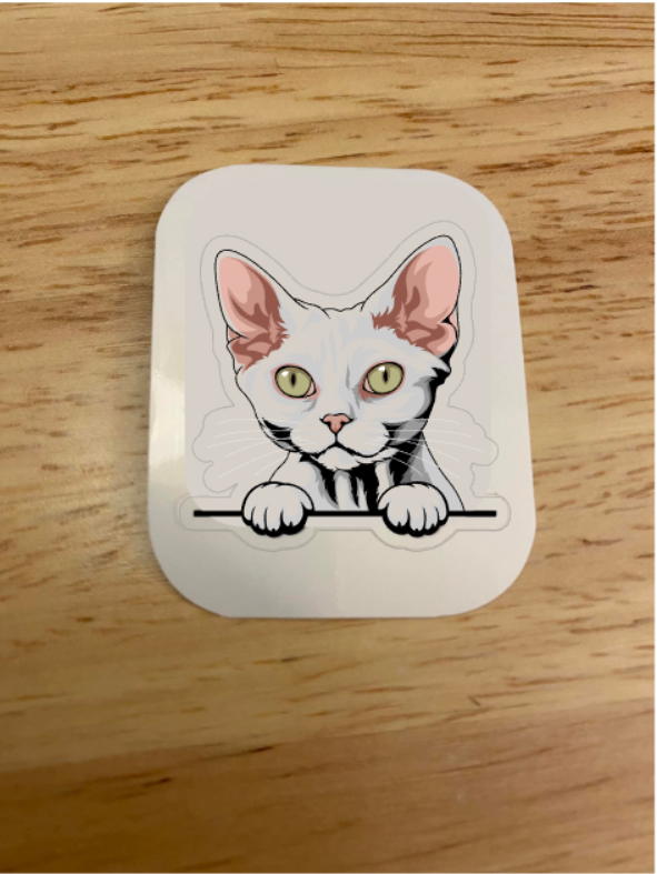 Devon Rex White Cat Sticker