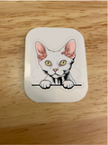 Devon Rex White Cat Sticker