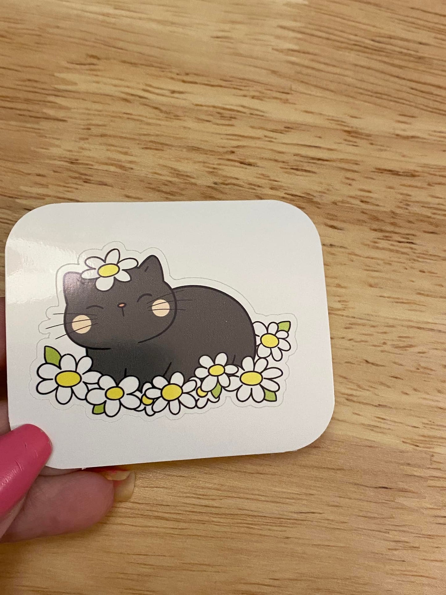 Cat in Daisy Sticker