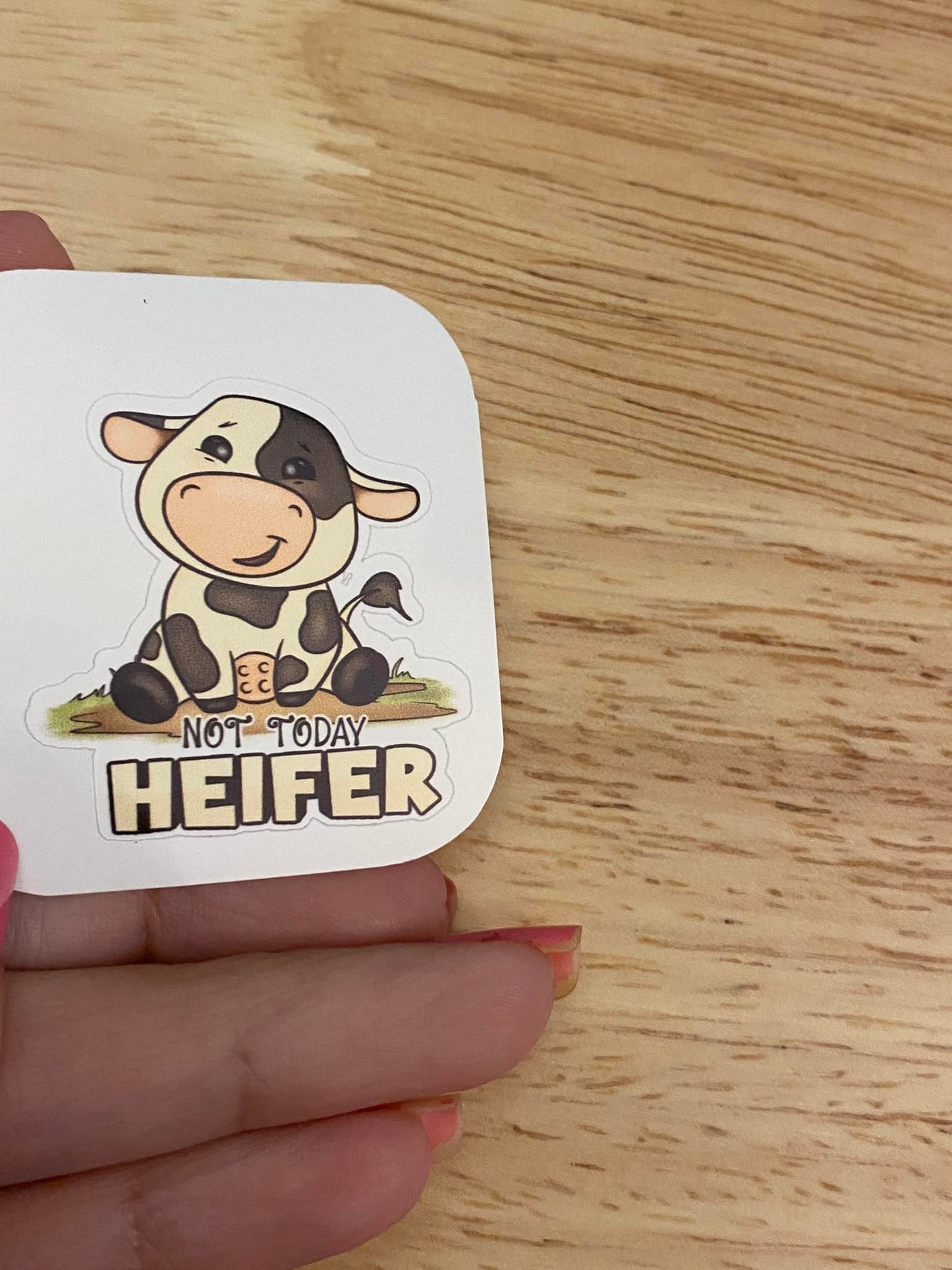 Not today Heifer Sticker