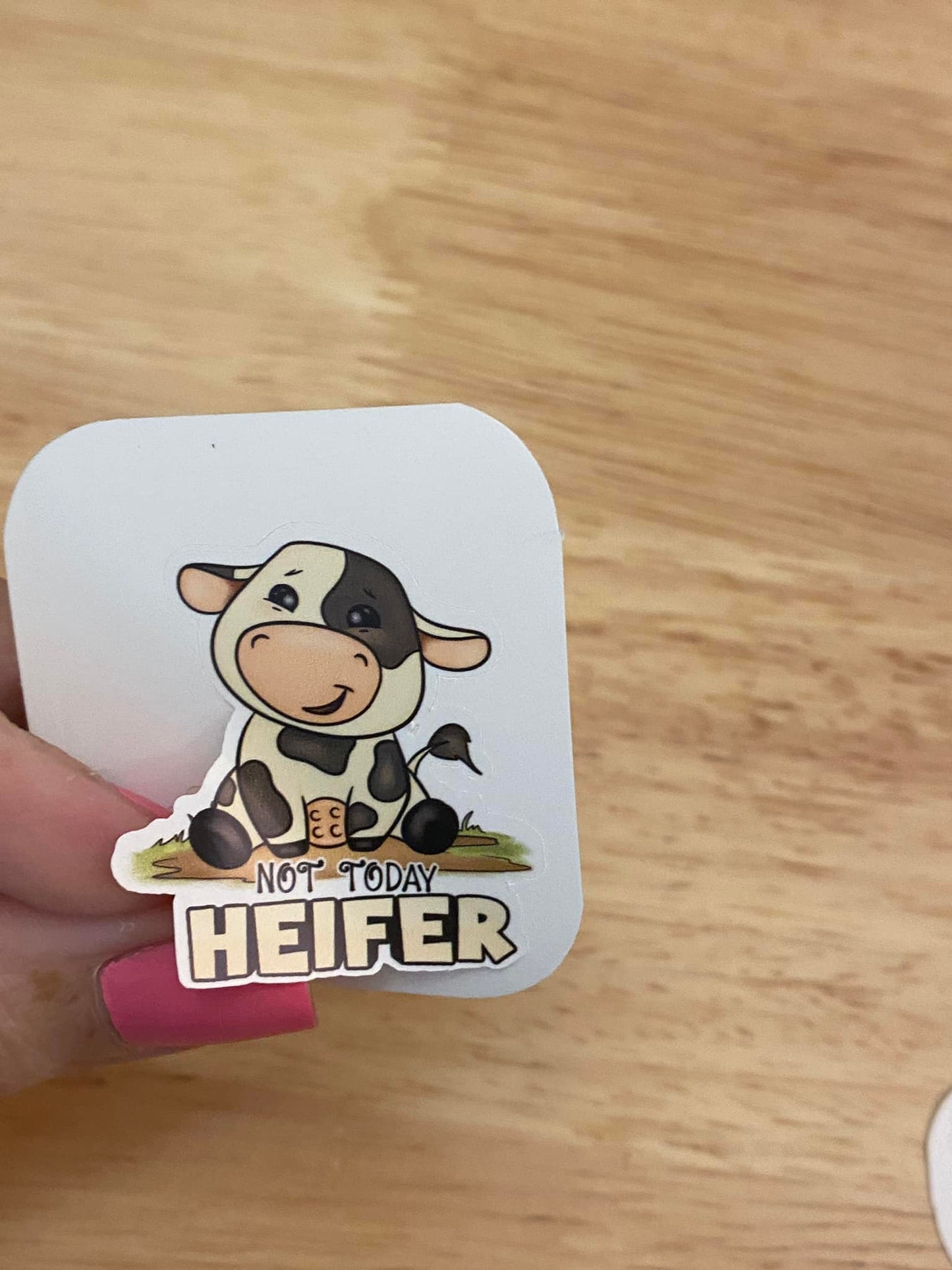 Not today Heifer Sticker