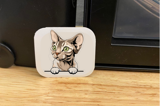 Devon Rex Tabby Cat Sticker
