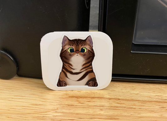 Brown Tabby short haired Cat STICKER