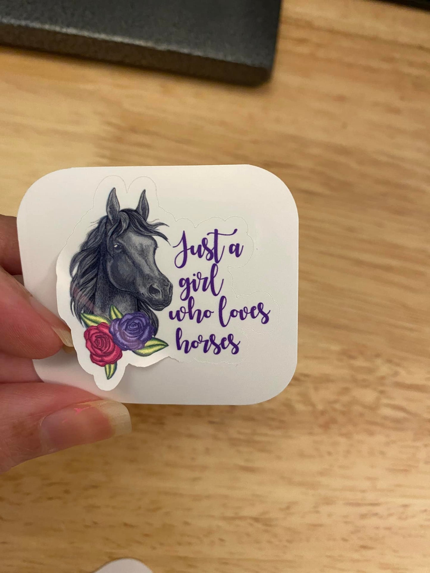 Just a Girl who Loves Horses Sticker