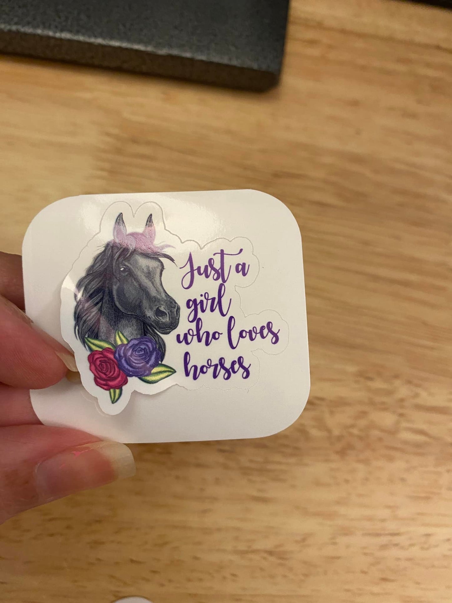 Just a Girl who Loves Horses Sticker