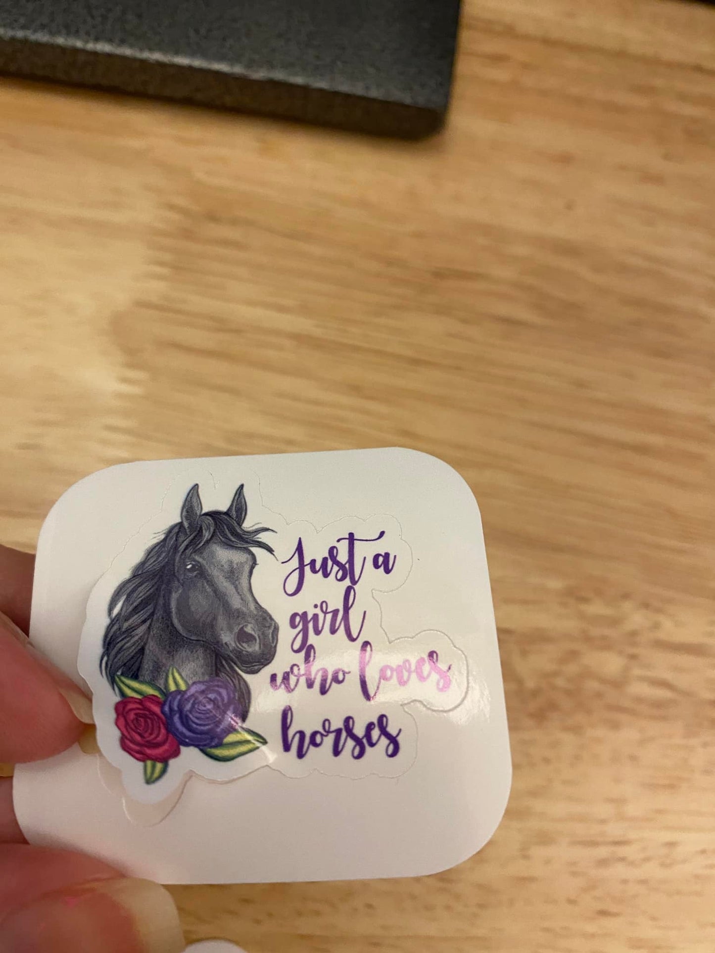 Just a Girl who Loves Horses Sticker