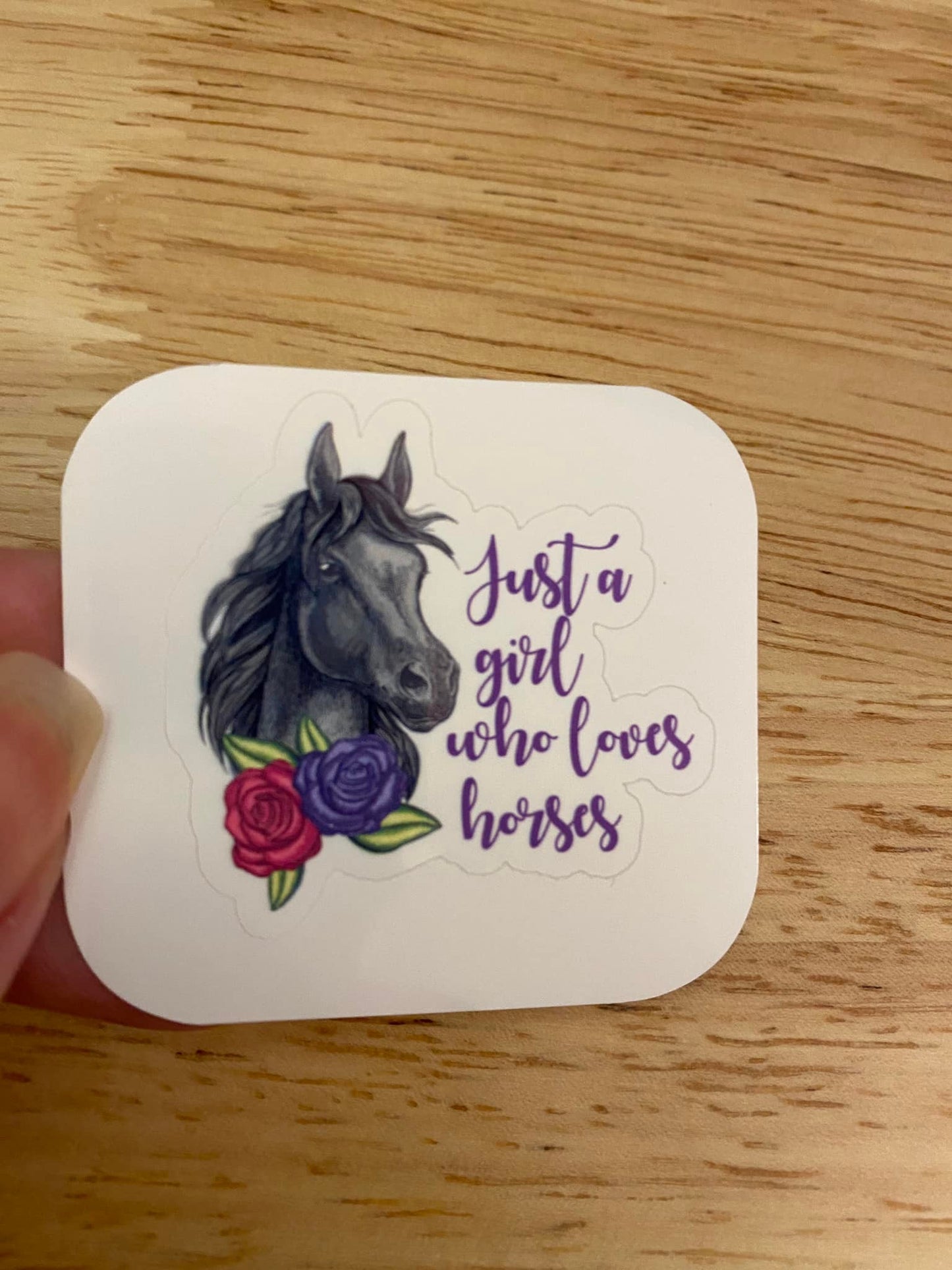 Just a Girl who Loves Horses Sticker