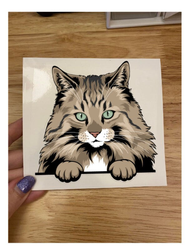 Norwegian forest STICKER