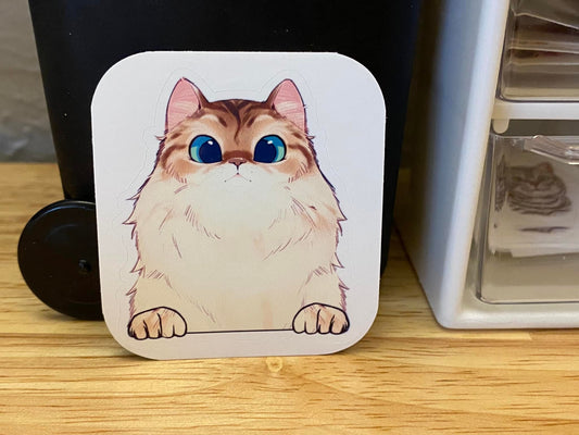 Fluffy White and Brown Cat STICKER, White fluffy cat with Brown Head Sticker, Halographic option,  Cat Decal option