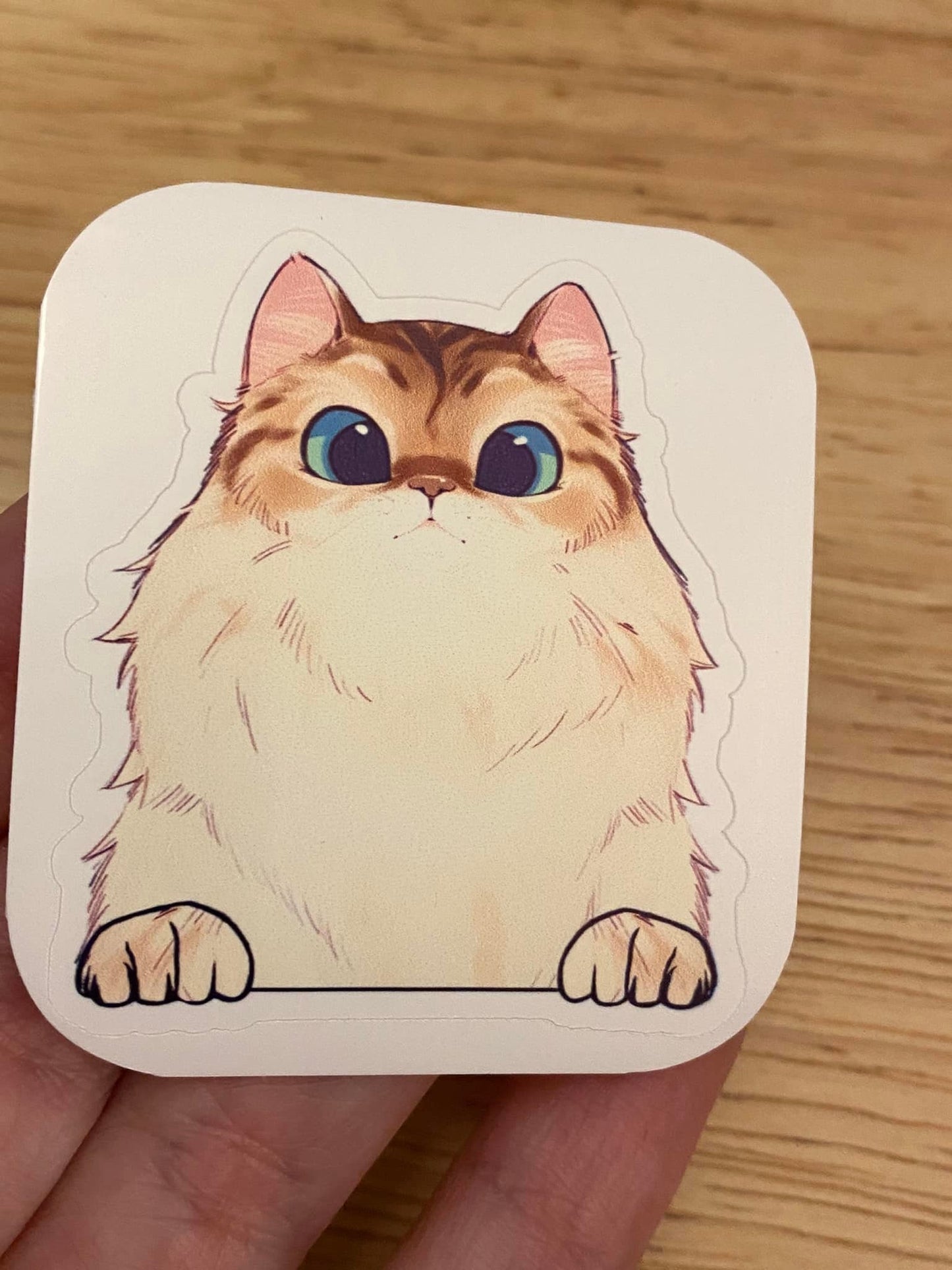 Fluffy White and Brown Cat STICKER, White fluffy cat with Brown Head Sticker, Halographic option,  Cat Decal option