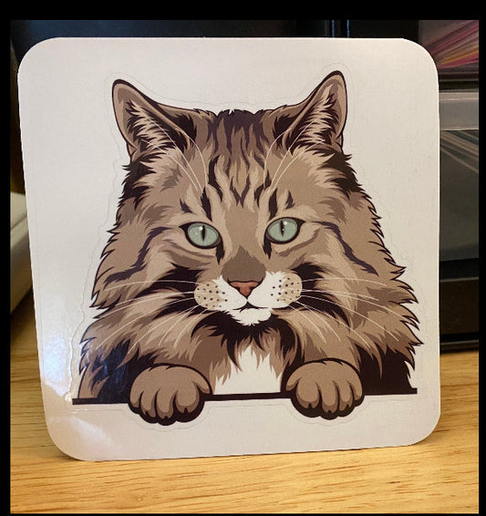 Norwegian forest STICKER