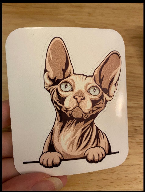 Sphynx cat, Hairless Cat Sticker, Holographic option, Cute Cat Design Sticker, Sphynx Kitty, Beige Cat