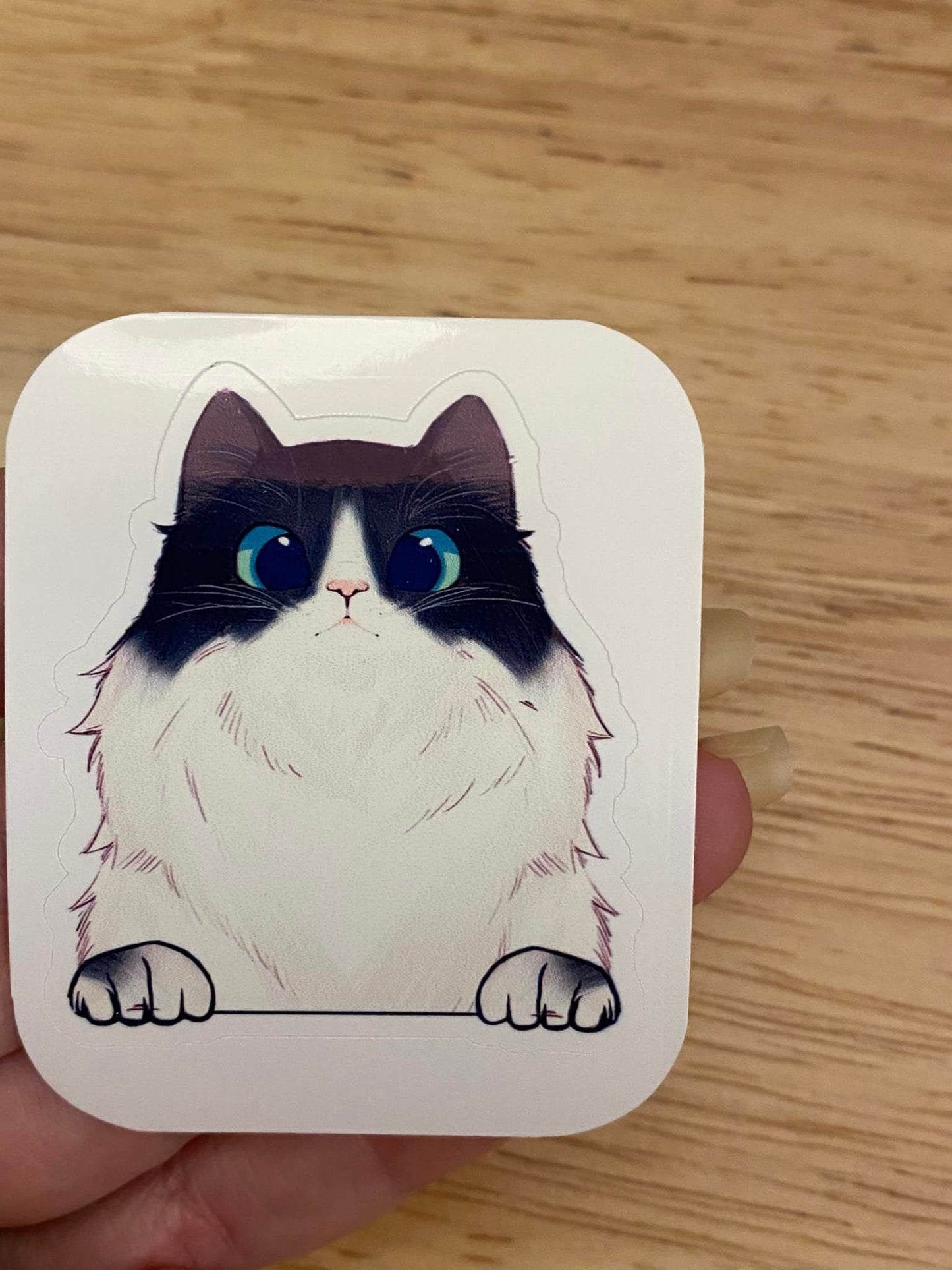 Fluffy White and Black Cat STICKER, White Black Head Cat Sticker, Halographic option,  Cat Decal option