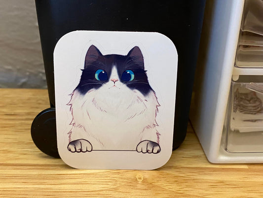 Fluffy White and Black Cat STICKER, White Black Head Cat Sticker, Halographic option,  Cat Decal option