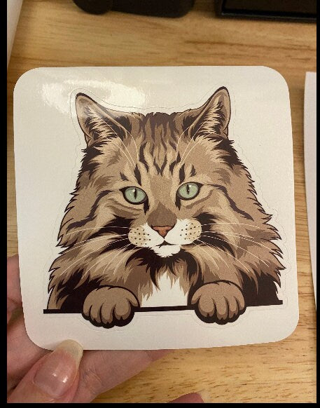 Norwegian forest STICKER