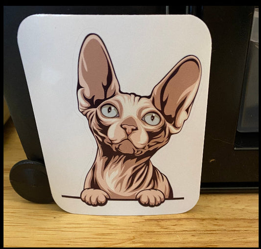 Sphynx cat, Hairless Cat Sticker, Holographic option, Cute Cat Design Sticker, Sphynx Kitty, Beige Cat