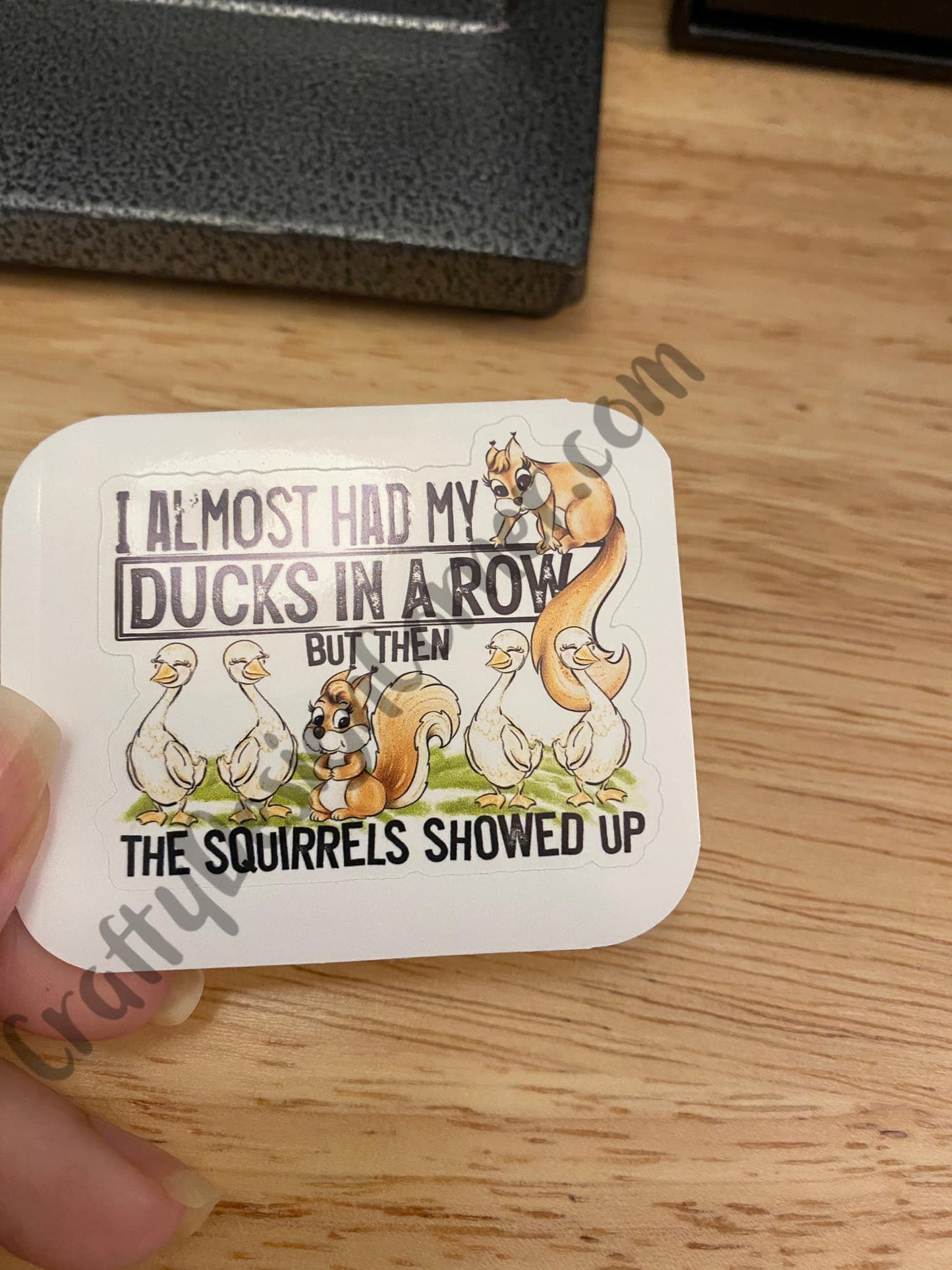 I Almost Had my Ducks in a Row but the Squirrels showed up Sticker