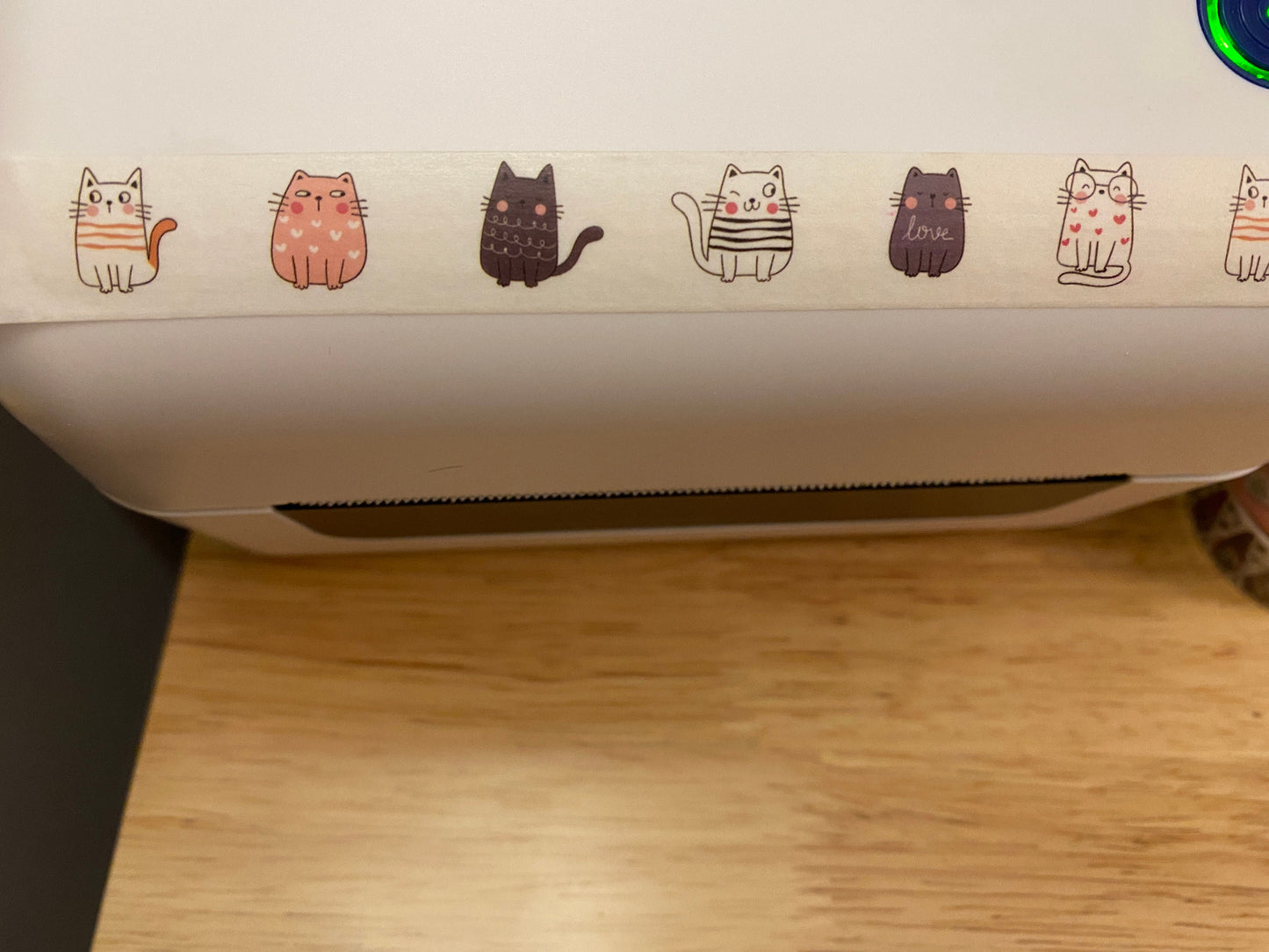 Big Roll of Multi Color Sitting Cats Washi Tape