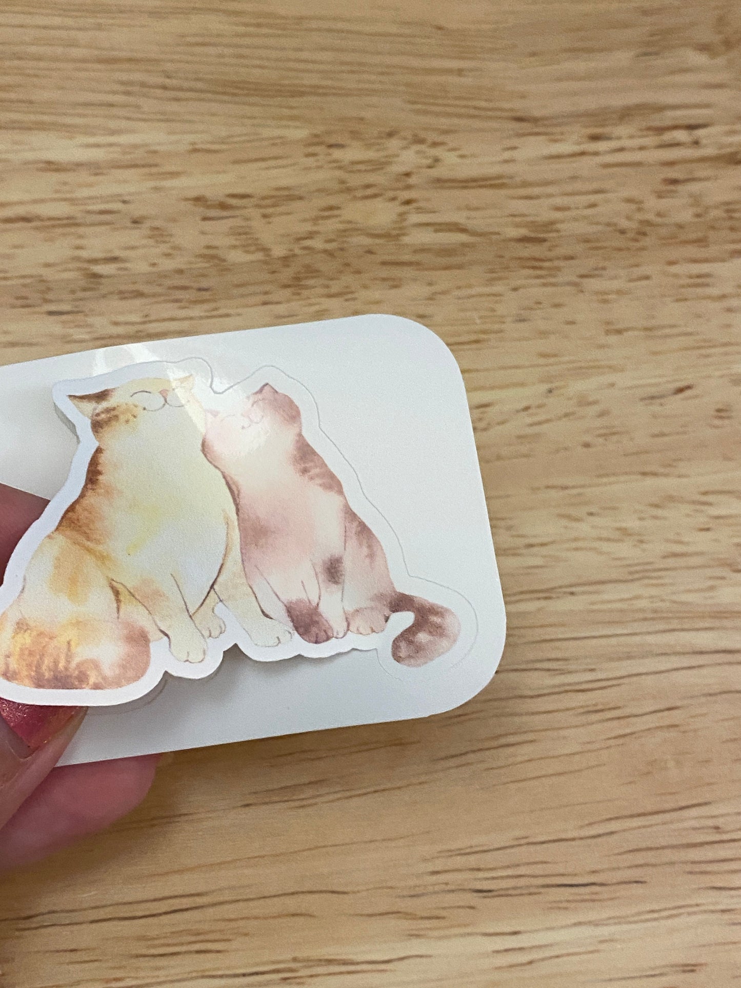 Watercolor Cat Cuddles Sticker