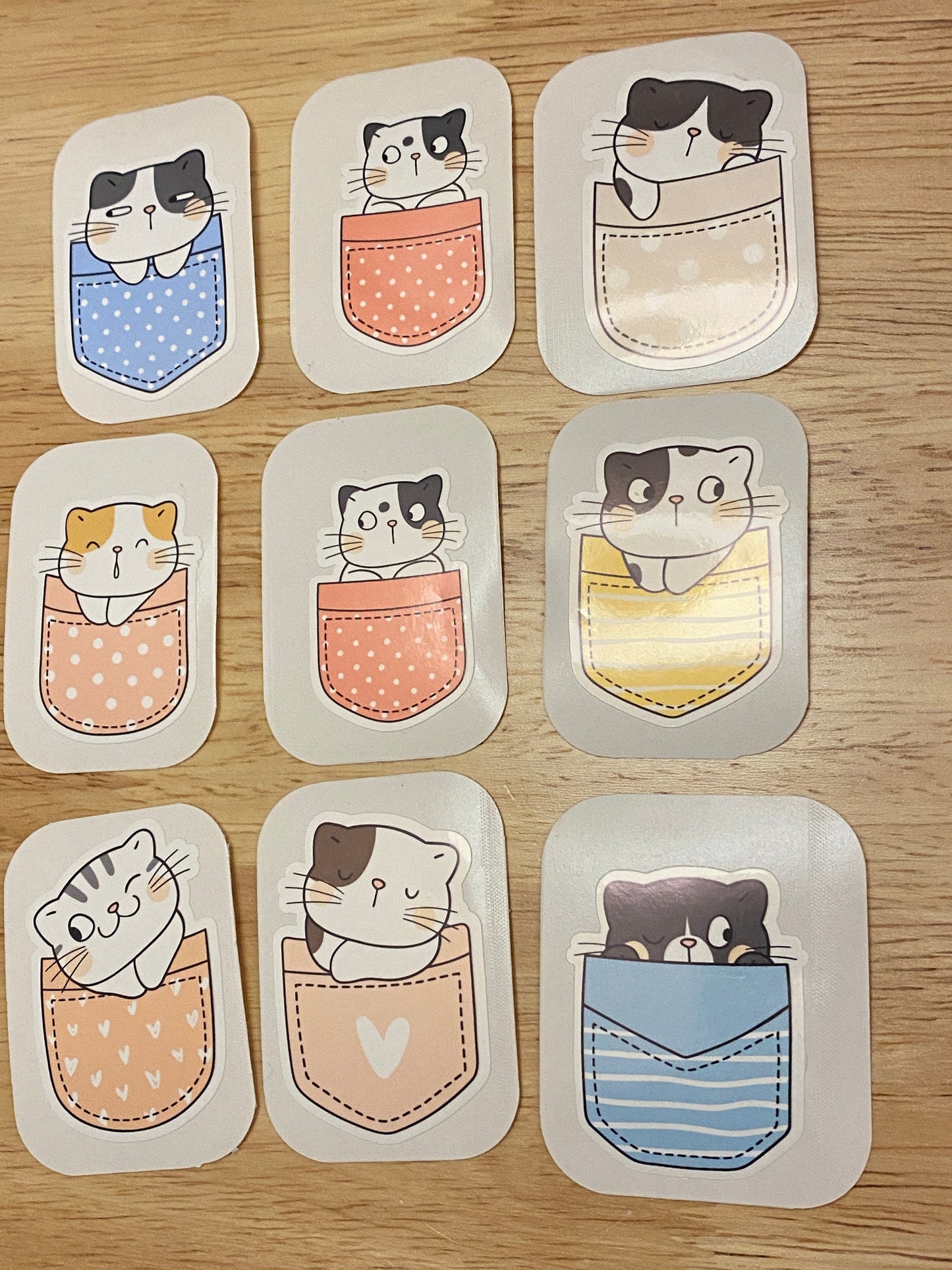 Cute Pocket Cat Sticker Set, Kitty Stickers, Cat Sticker Set, Pocket Cat Sticker Set