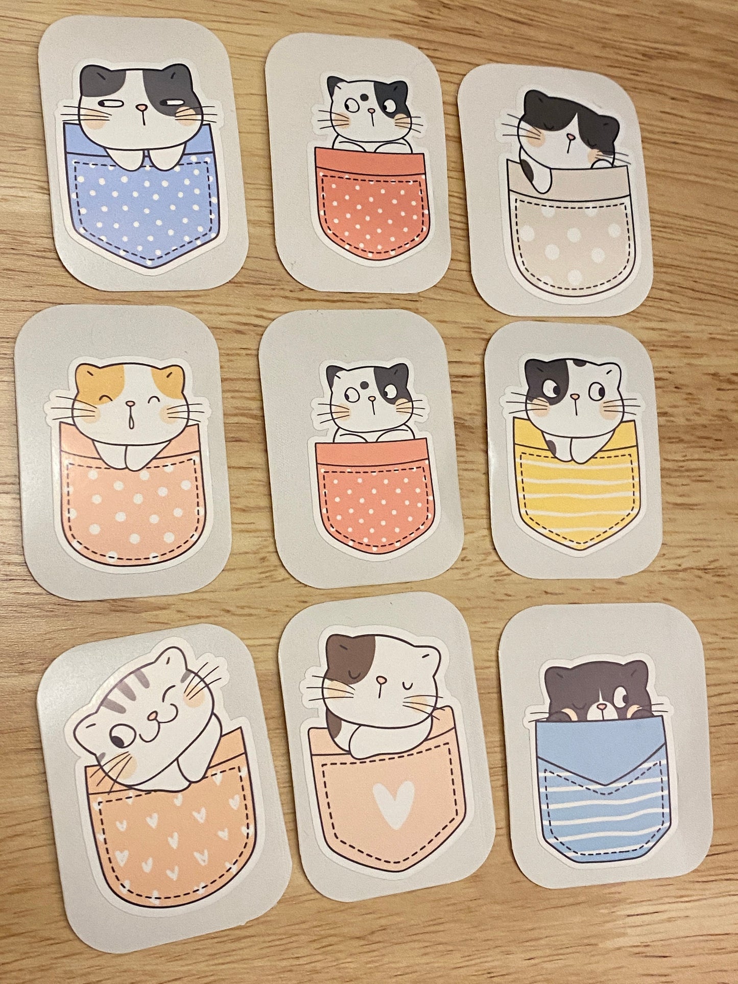 Cute Pocket Cat Sticker Set, Kitty Stickers, Cat Sticker Set, Pocket Cat Sticker Set