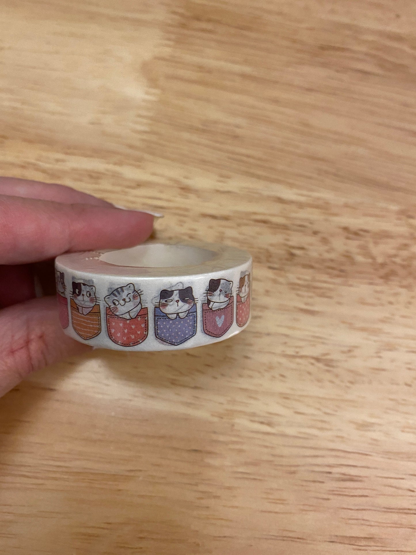 Big Roll of Pocket Kitties Washi Tape