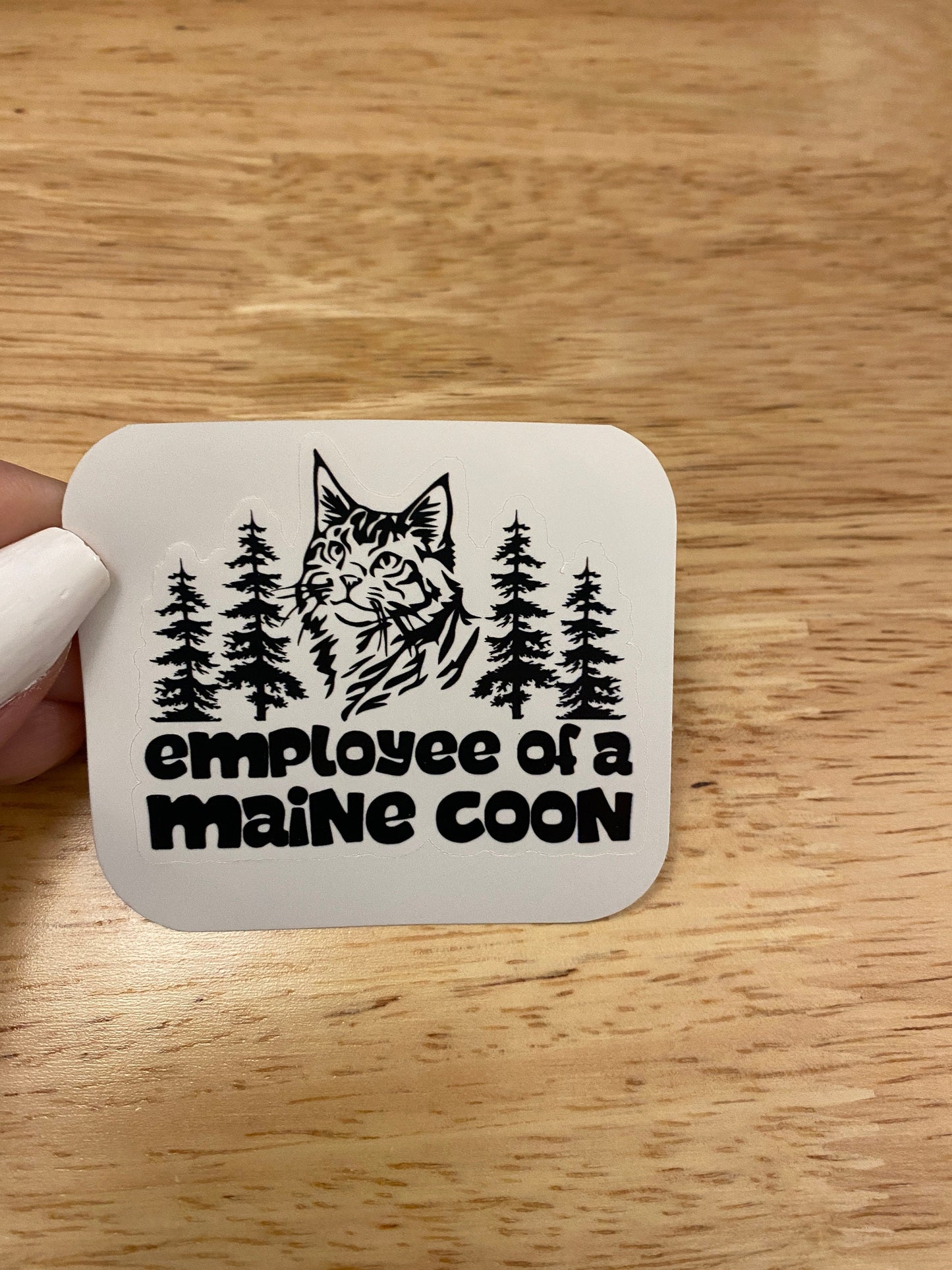 Employee of a Maine Coon Sticker, Maine Coon Employee sticker, Maine Coon Sticker, Dad sticker, Cat Dad sticker, mom sticker, cat mom
