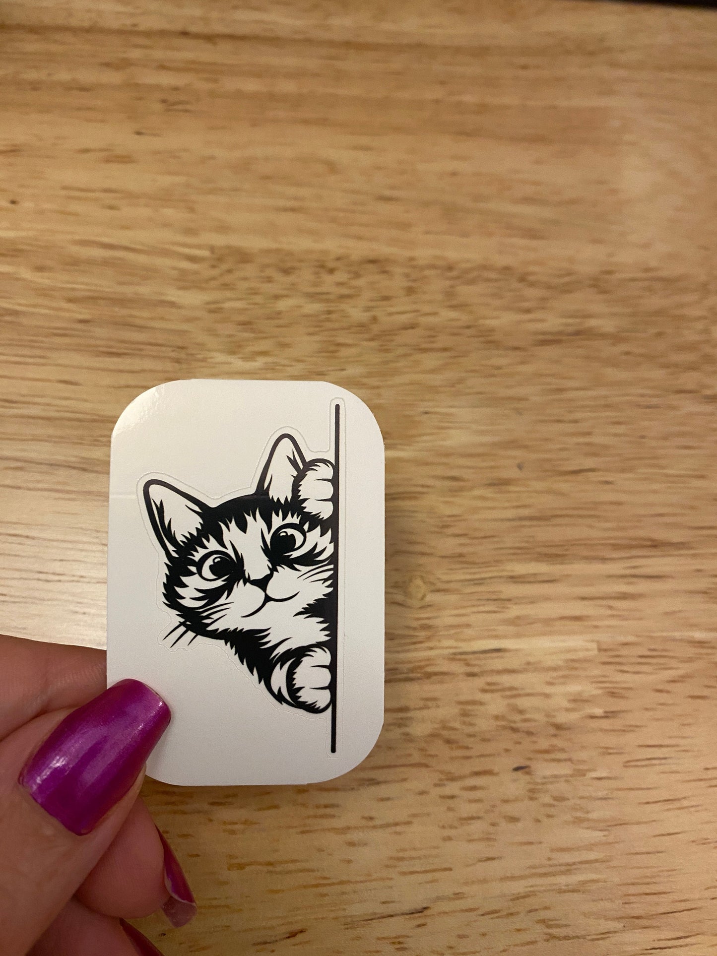 Kitty peeking around the corner STICKER