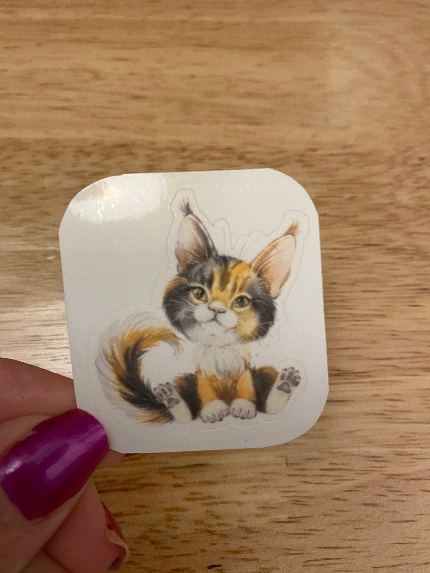 Calico Maine Coon STICKER