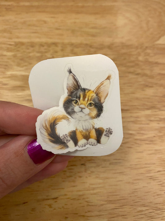 Calico Maine Coon STICKER