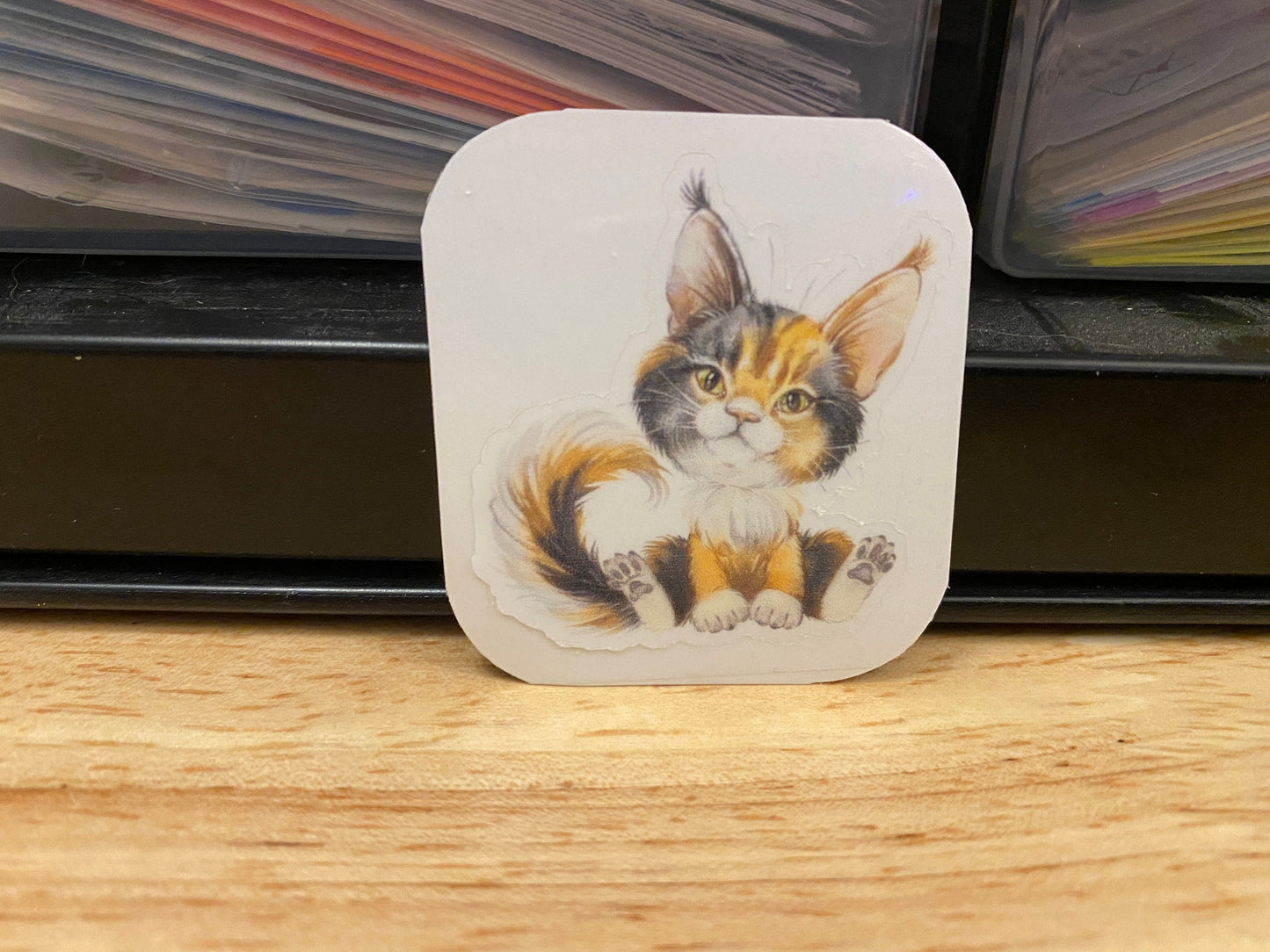 Calico Maine Coon STICKER