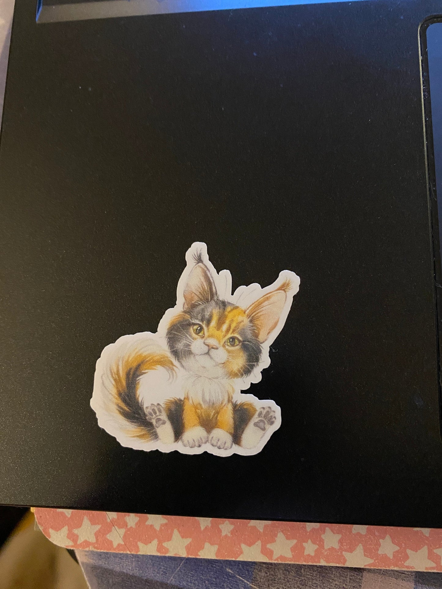 Calico Maine Coon STICKER