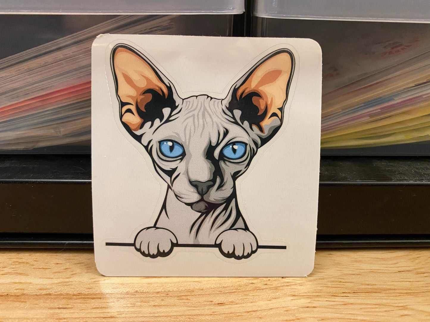 Blue Sphynx cat, Hairless Grey Cat Sticker, Holographic option, Cute Cat Design Sticker, Sphynx Kitty, Blue Sphynx Sticker Cat