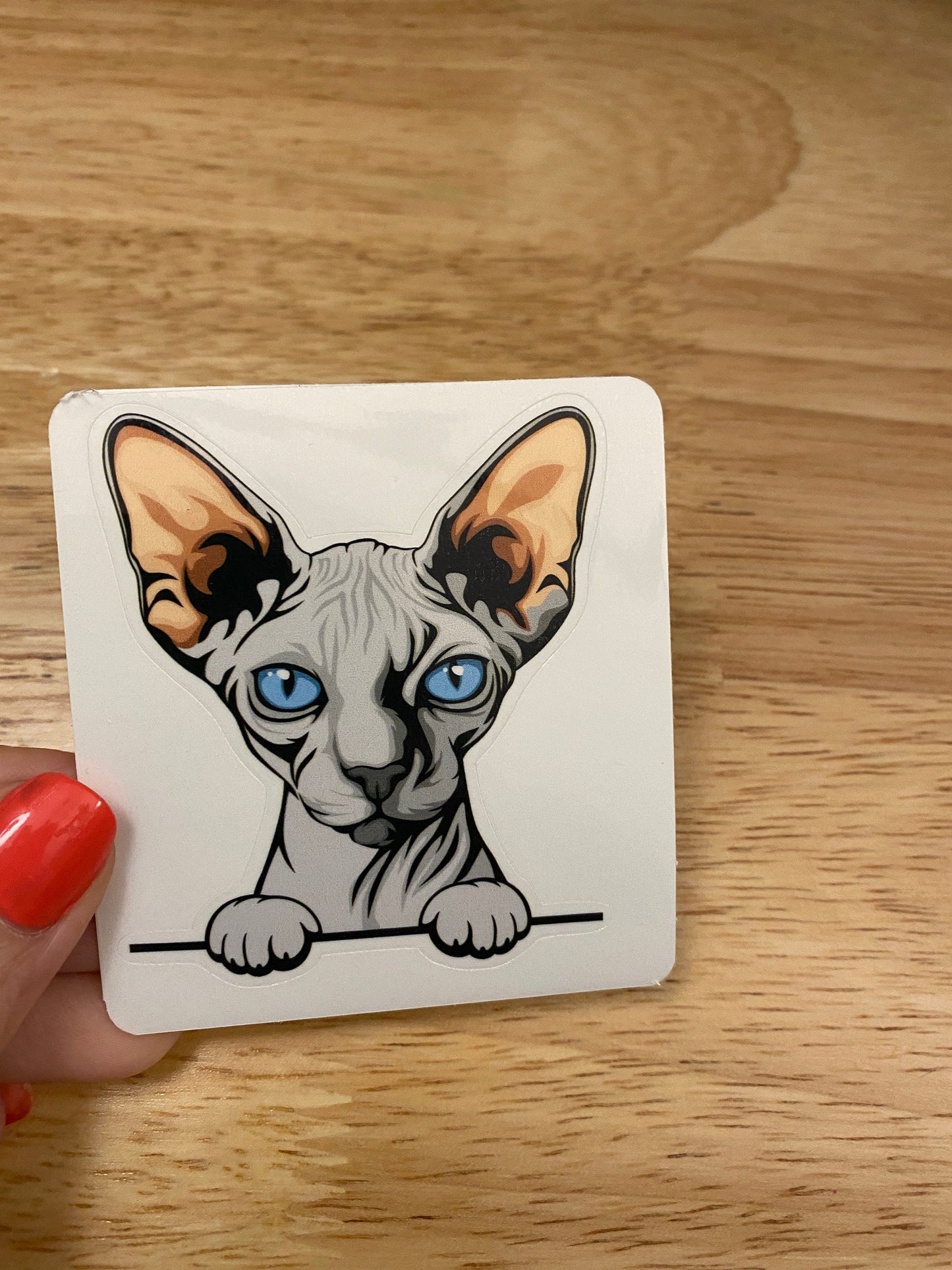 Blue Sphynx cat, Hairless Grey Cat Sticker, Holographic option, Cute Cat Design Sticker, Sphynx Kitty, Blue Sphynx Sticker Cat