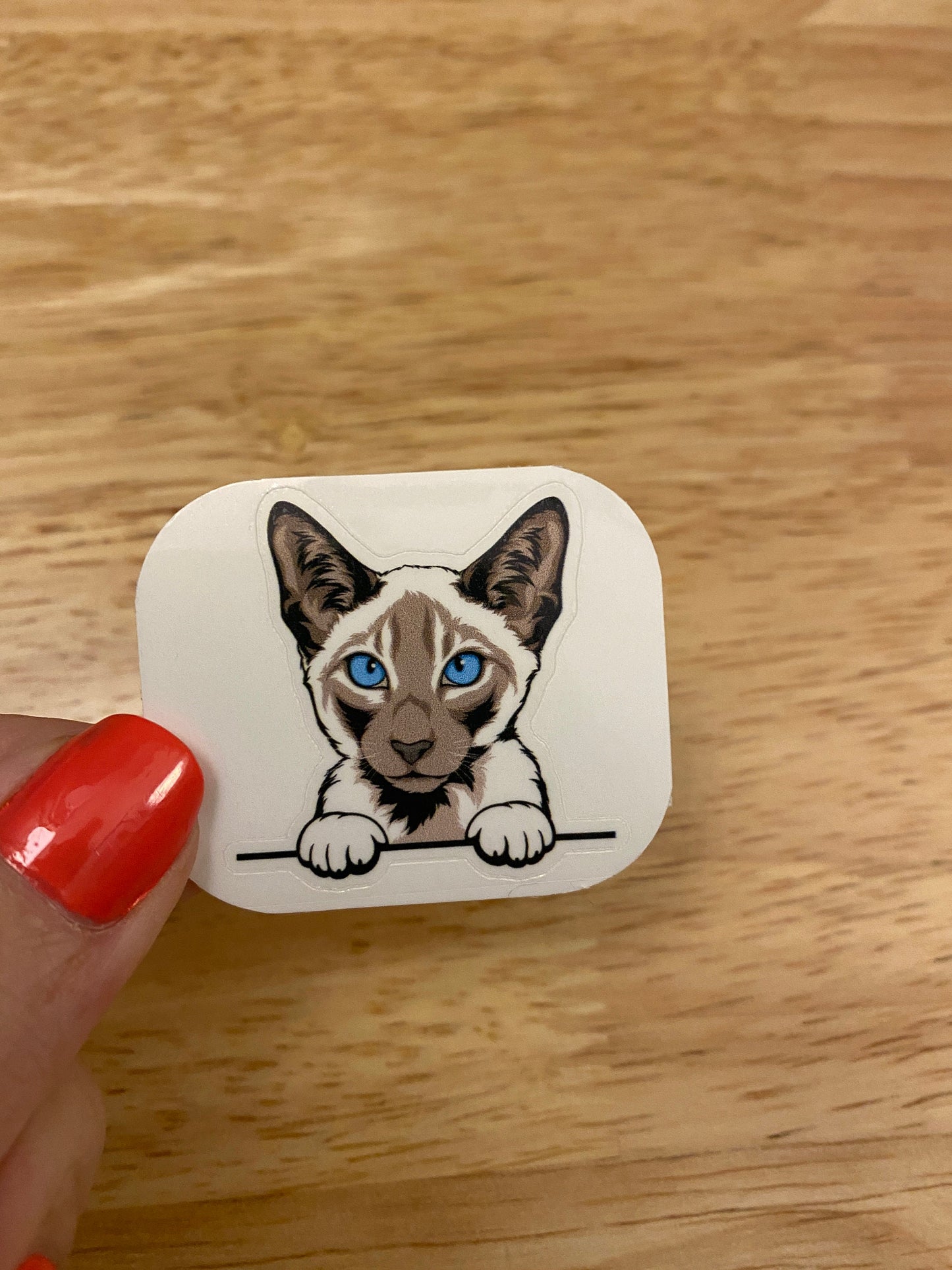 Siamese white and grey Cat STICKER