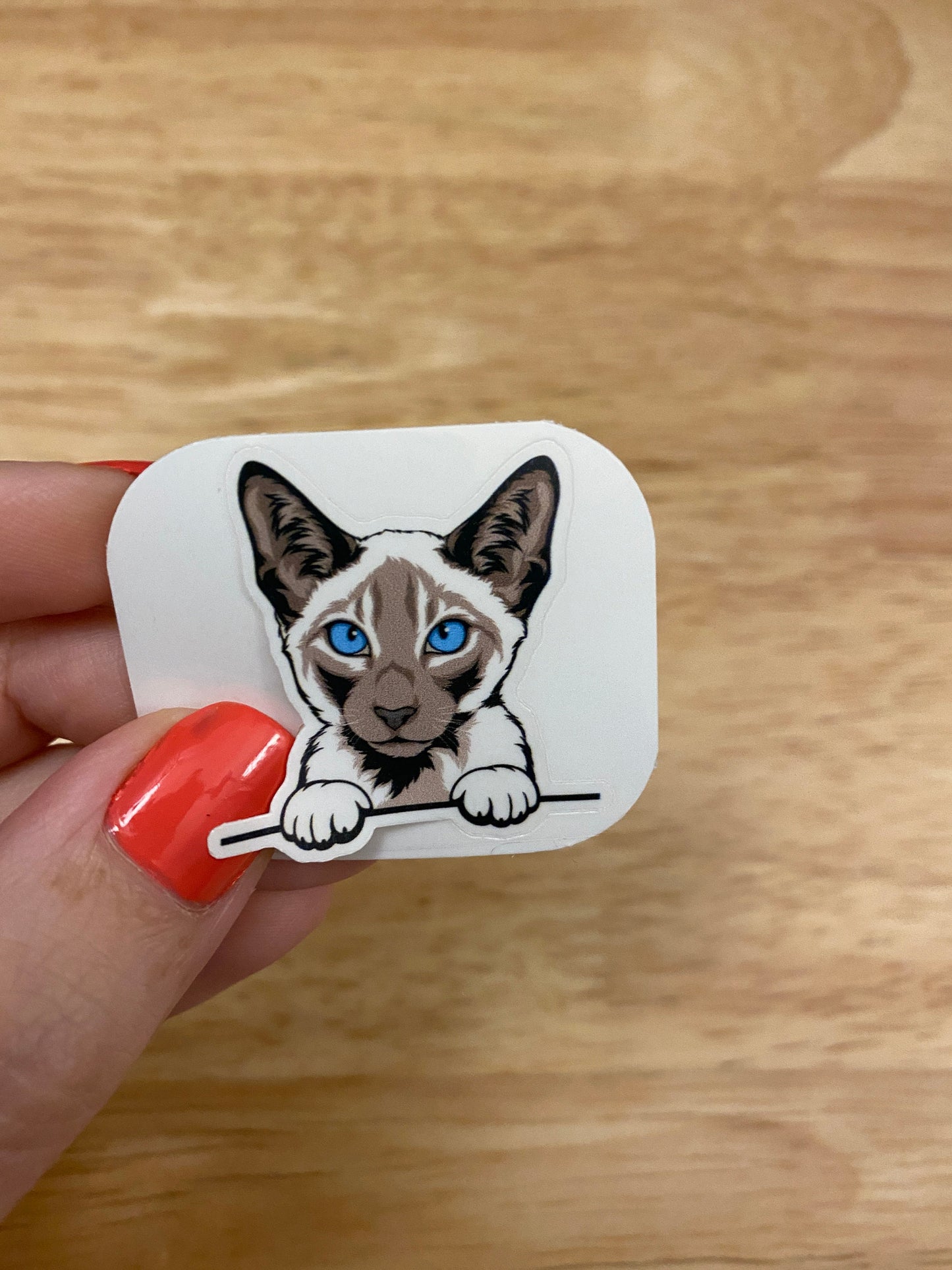 Siamese white and grey Cat STICKER