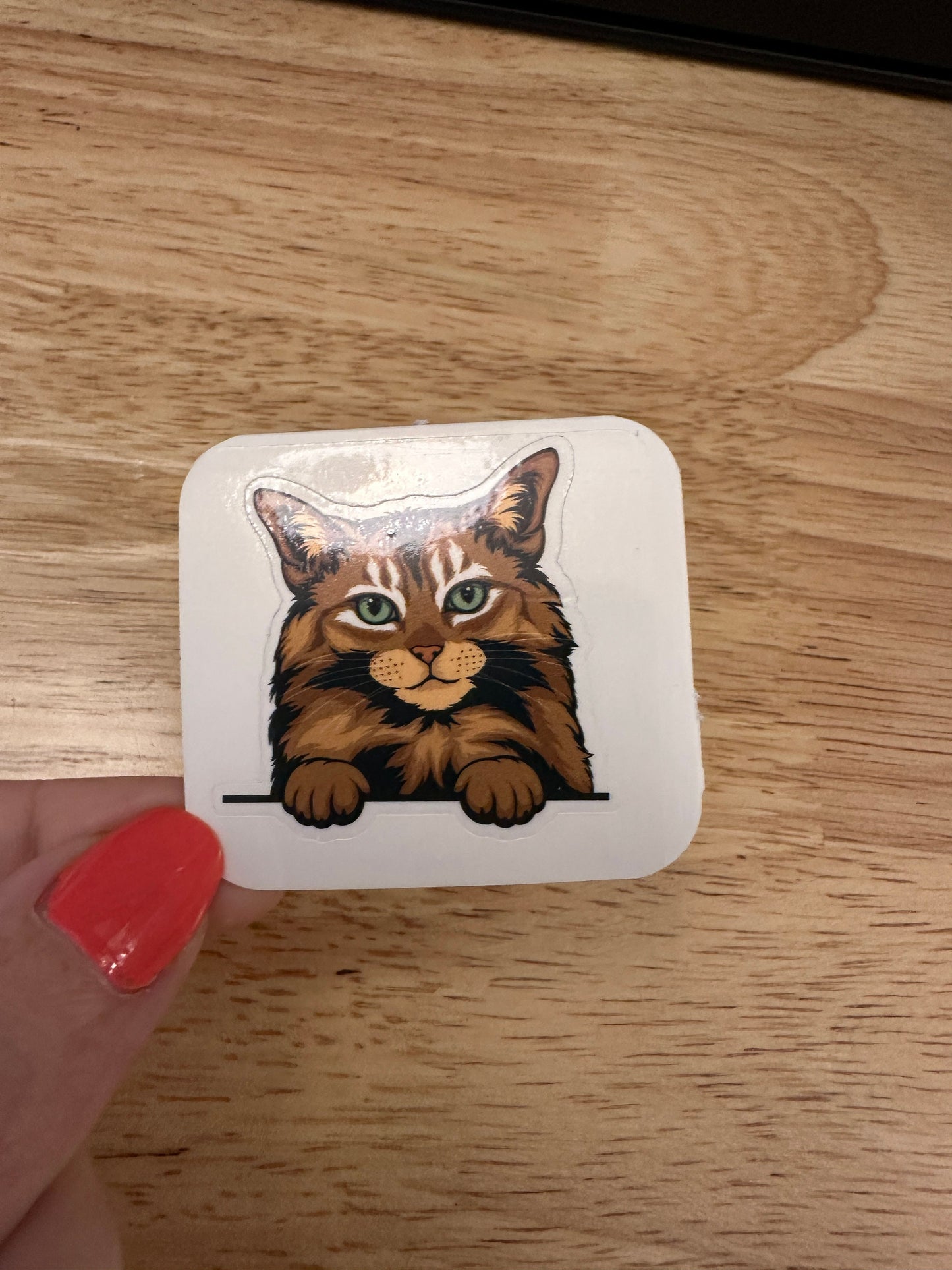 Somali Cat STICKER