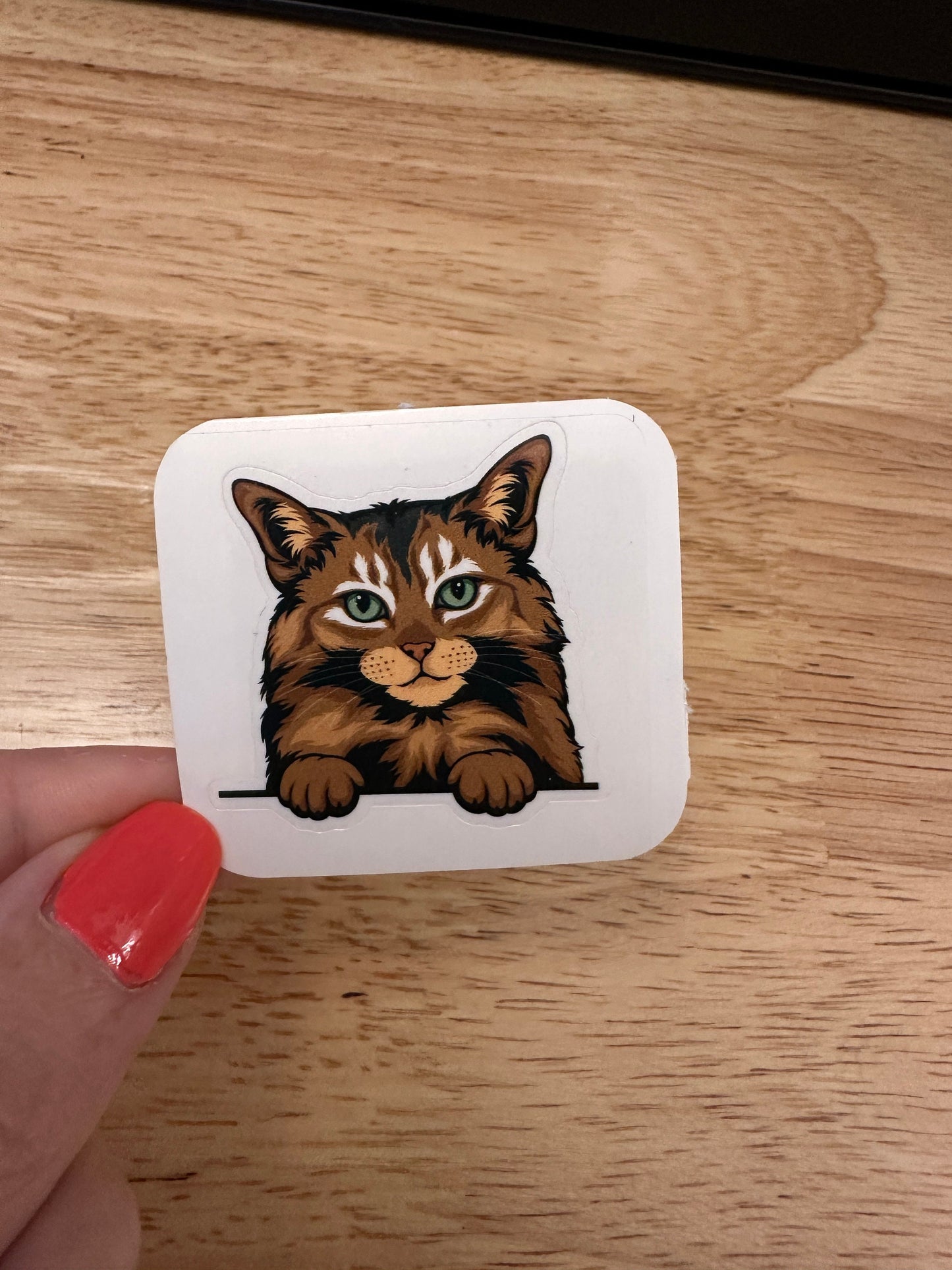 Somali Cat STICKER