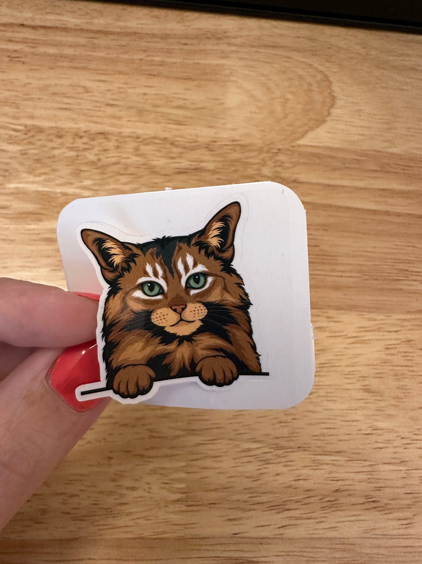 Somali Cat STICKER