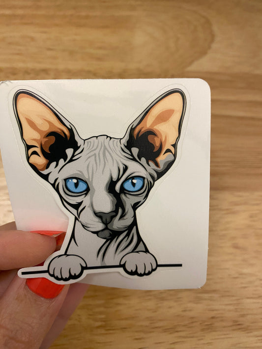 Blue Sphynx cat, Hairless Grey Cat Sticker, Holographic option, Cute Cat Design Sticker, Sphynx Kitty, Blue Sphynx Sticker Cat