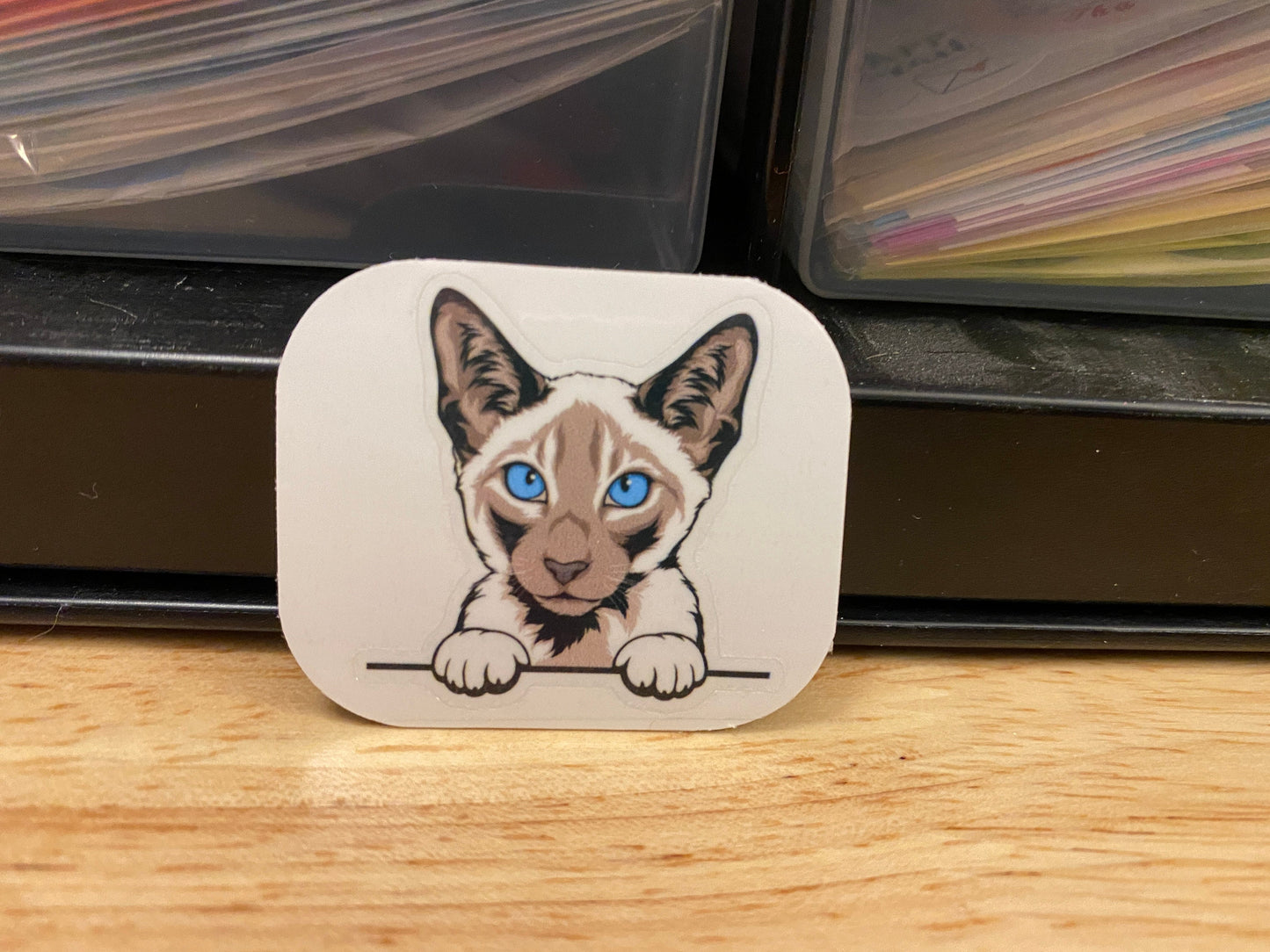 Siamese white and grey Cat STICKER