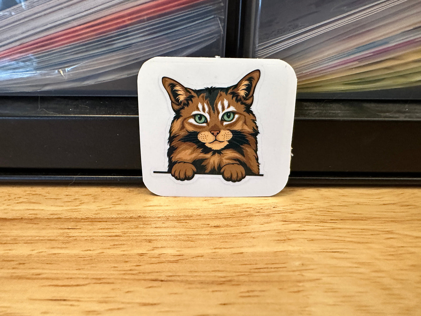 Somali Cat STICKER